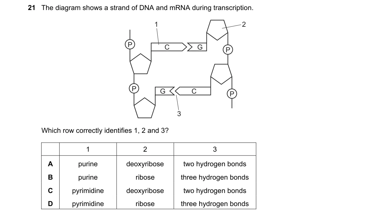 Question 21 from 9700/12/M/J/21