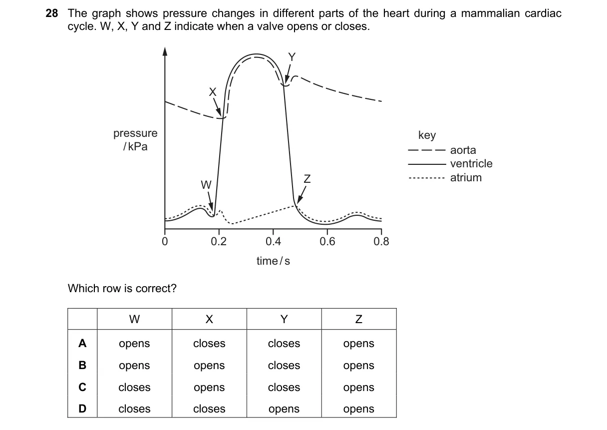 Question 28 from 9700/12/M/J/21