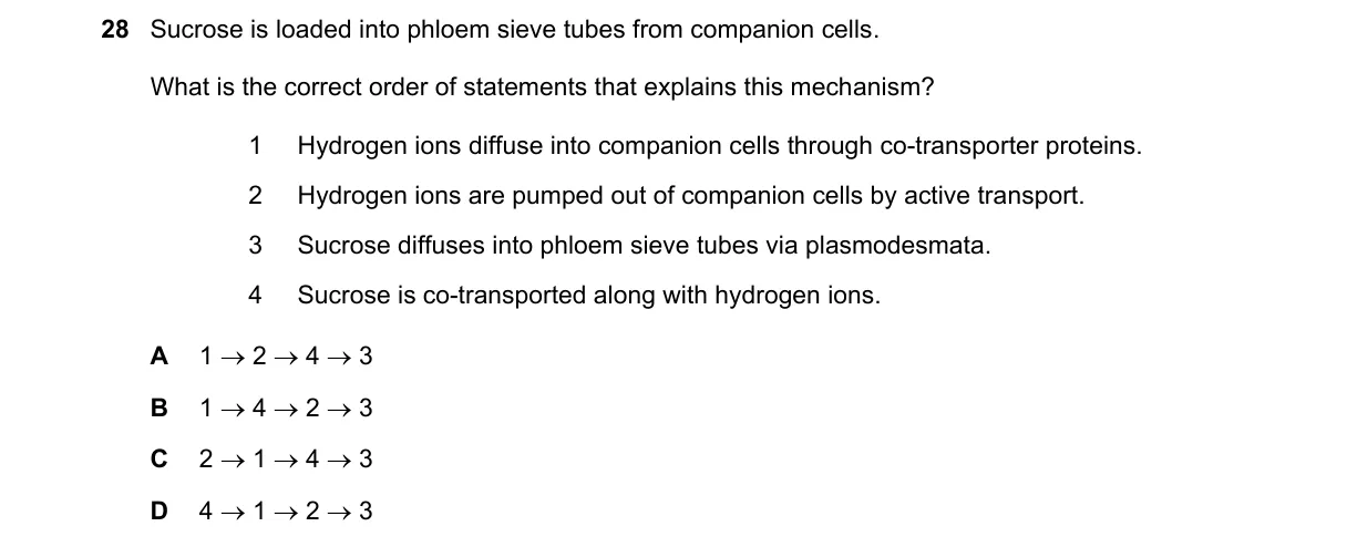 Question 28 from 9700/13/M/J/21