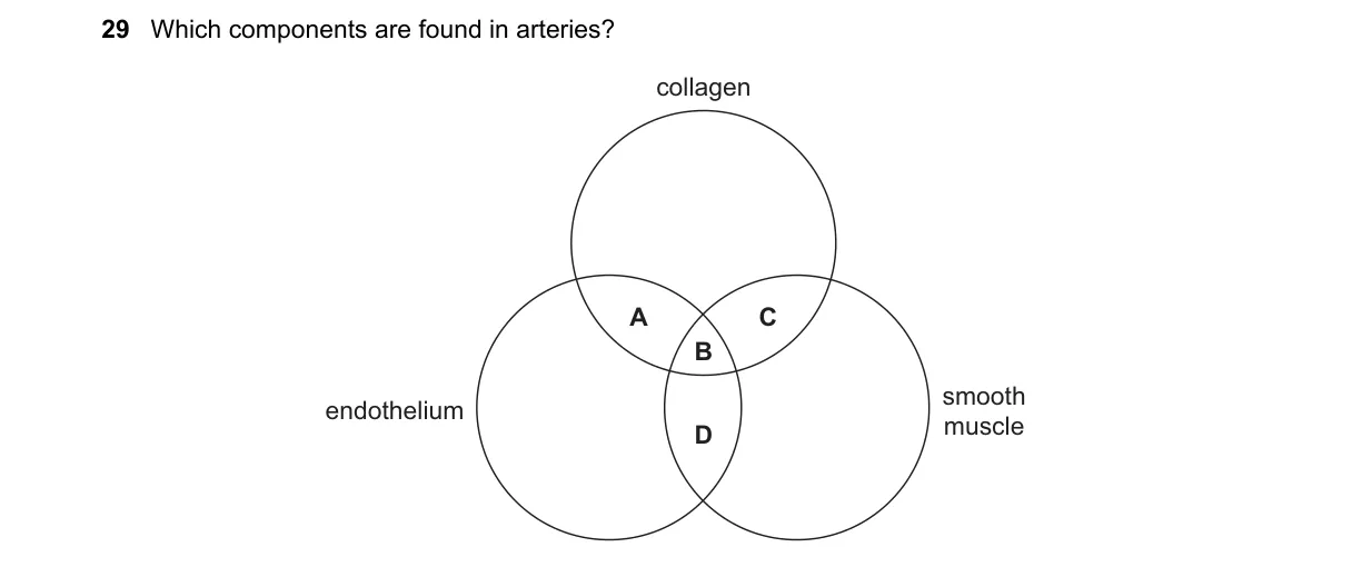 Question 29 from 9700/13/M/J/21
