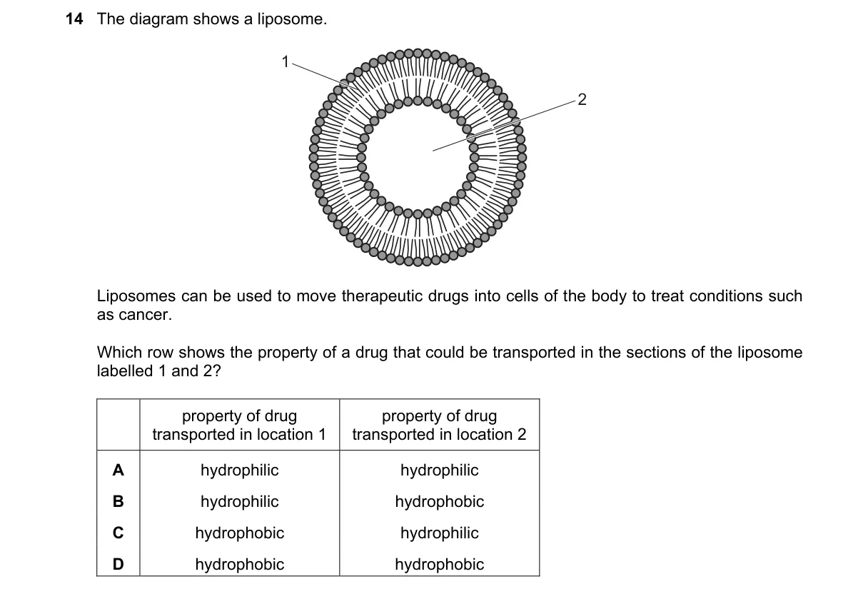 Question 14 from 9700/11/M/J/22