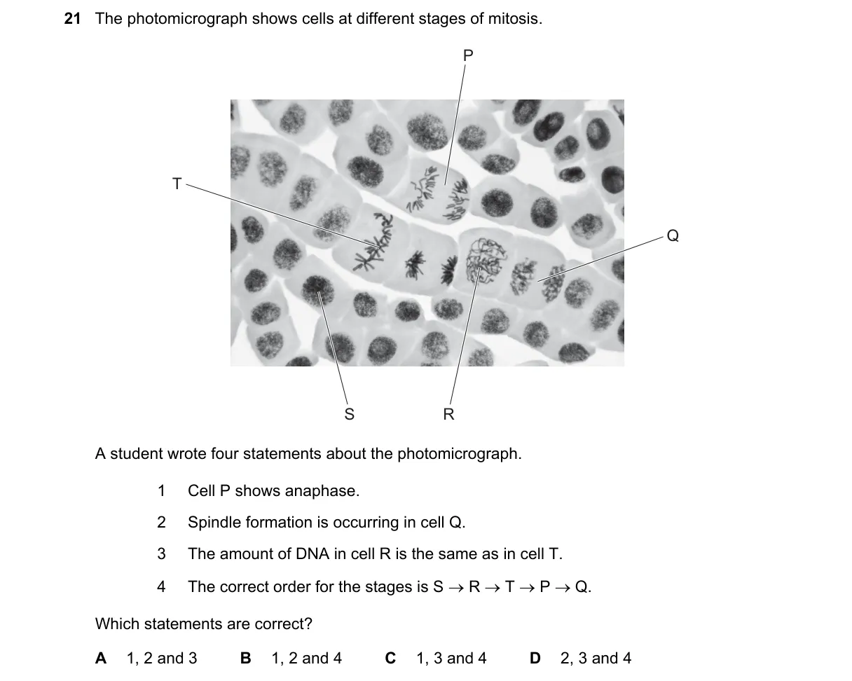 Question 21 from 9700/11/M/J/22