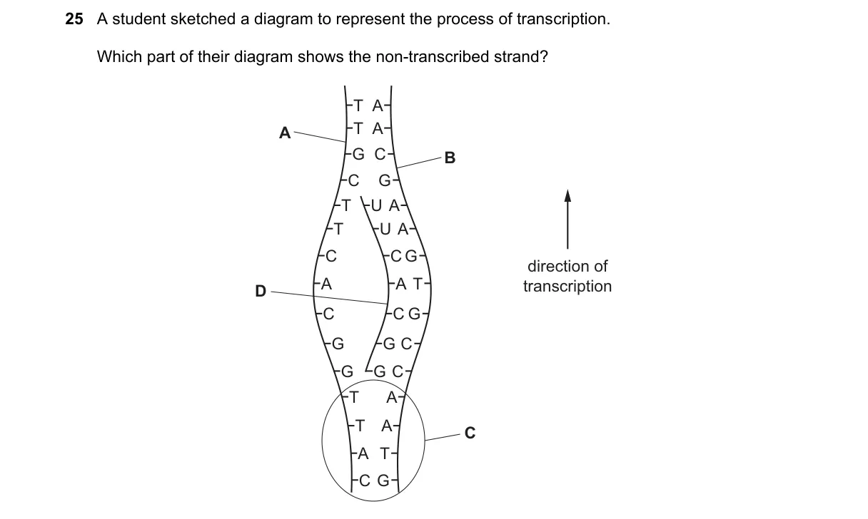 Question 25 from 9700/11/M/J/22