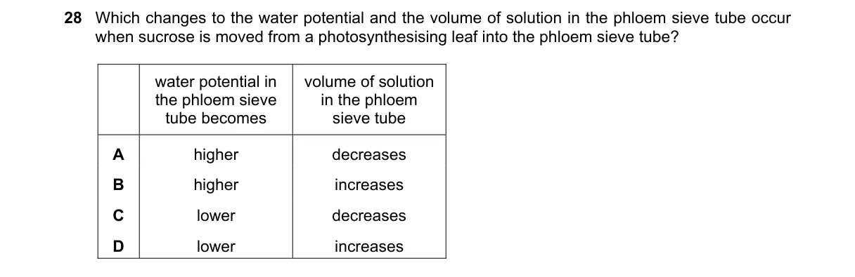 Question 28 from 9700/11/M/J/22