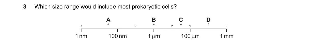 Question 3 from 9700/11/M/J/22