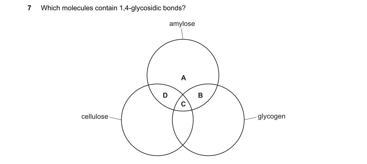 Question 7 from 9700/11/M/J/22