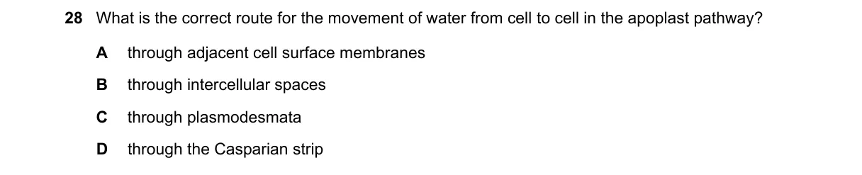 Question 28 from 9700/12/M/J/22