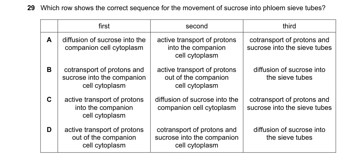 Question 29 from 9700/12/M/J/22