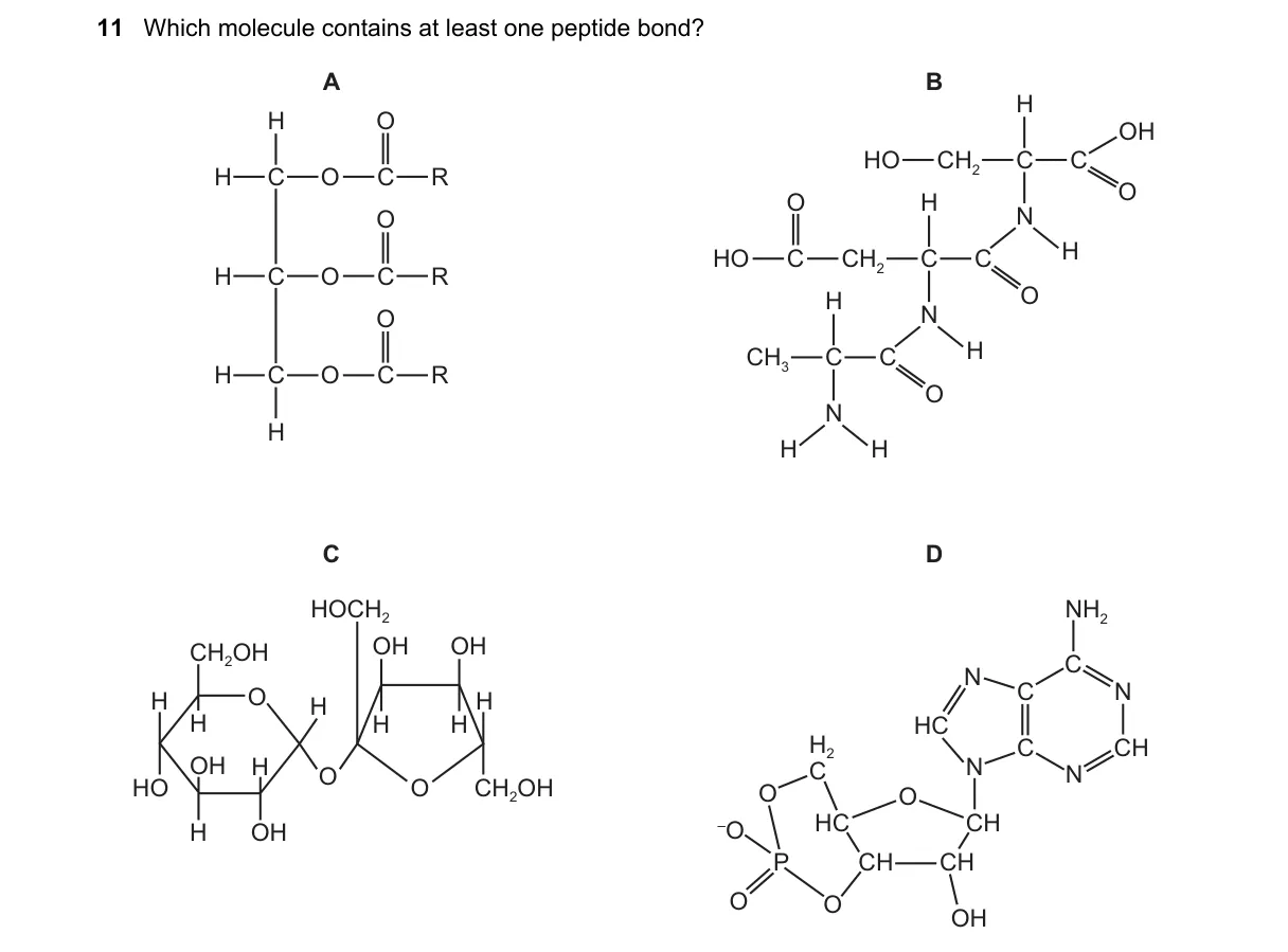 Question 11 from 9700/13/M/J/22