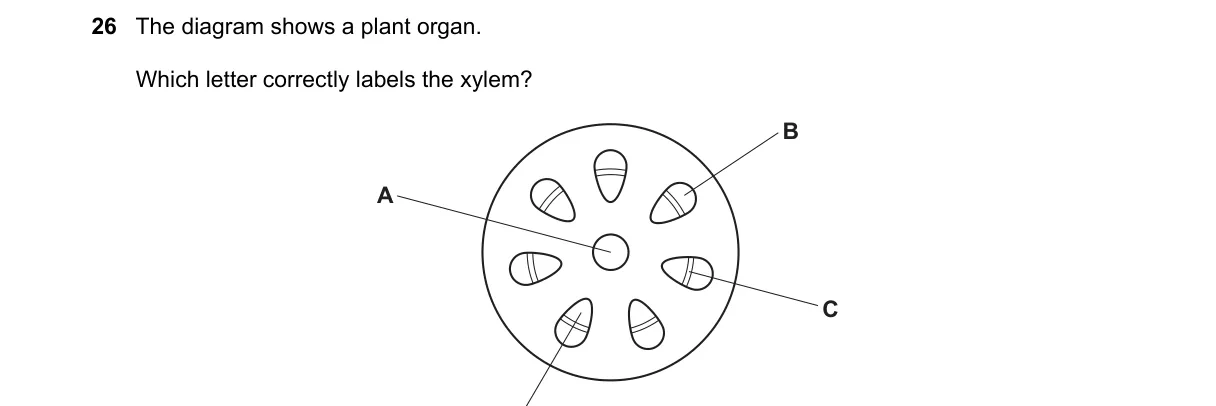 Question 26 from 9700/13/M/J/22