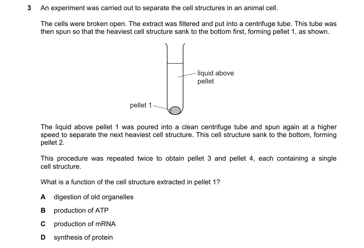 Question 3 from 9700/13/M/J/22