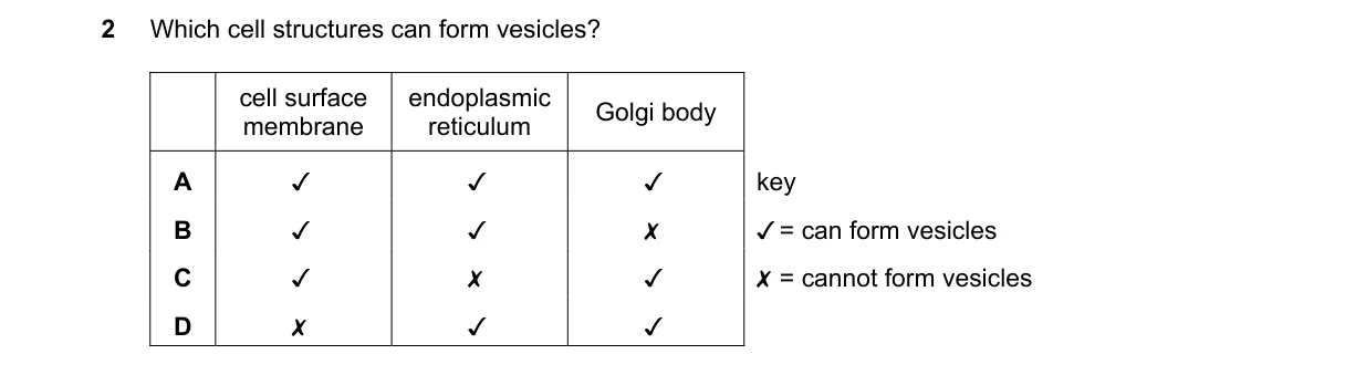 Question 2 from 9700/11/M/J/23