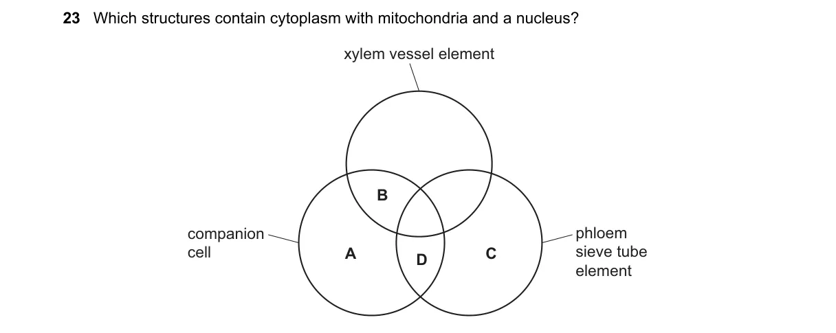 Question 23 from 9700/11/M/J/23