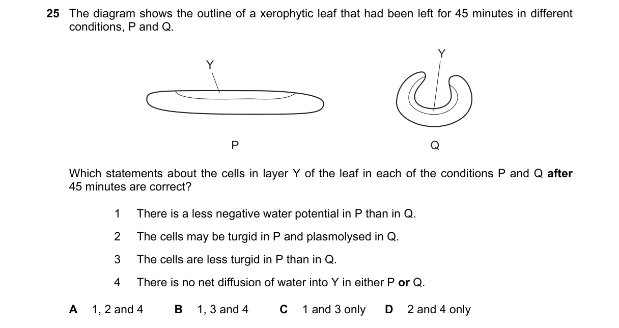 Question 25 from 9700/11/M/J/23