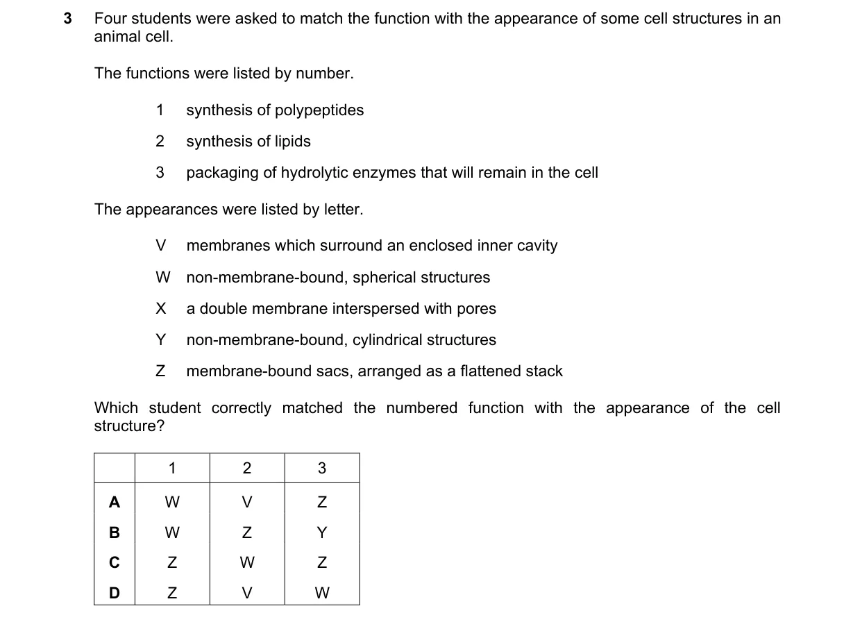 Question 3 from 9700/11/M/J/23