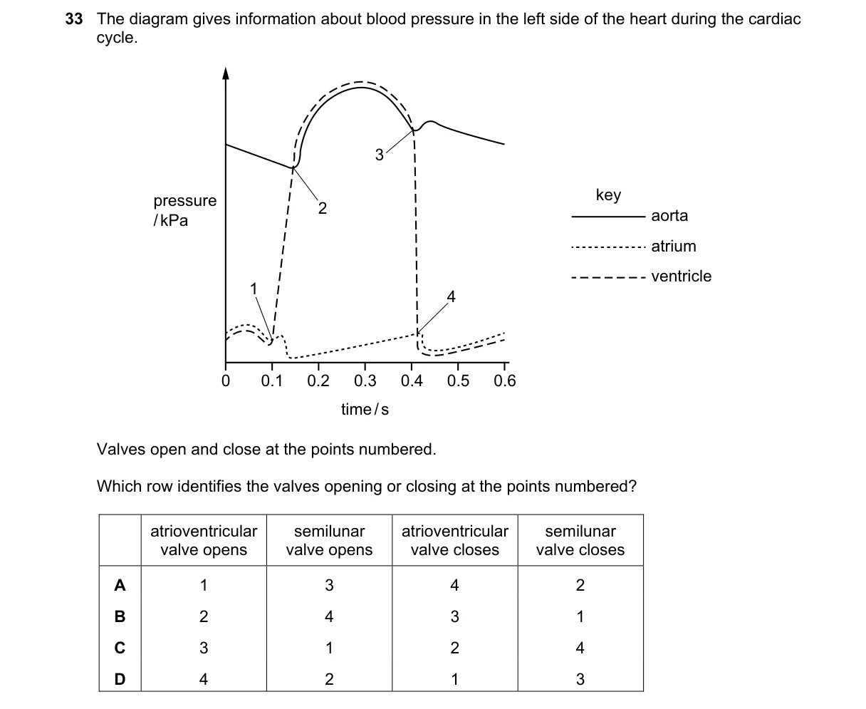 Question 33 from 9700/11/M/J/23