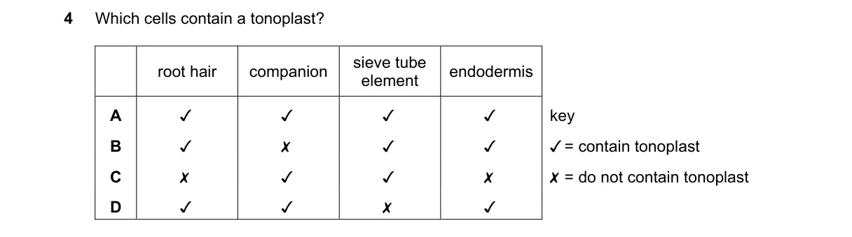 Question 4 from 9700/11/M/J/23