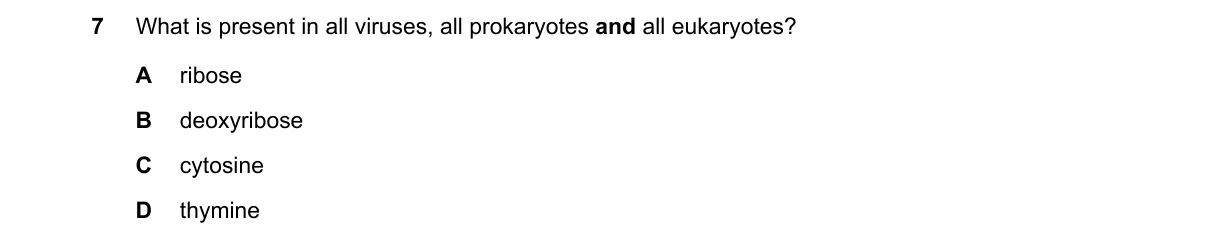 Question 7 from 9700/11/M/J/23