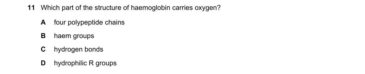 Question 11 from 9700/12/M/J/23