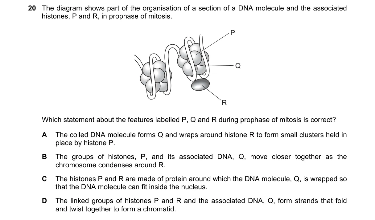 Question 20 from 9700/12/M/J/23