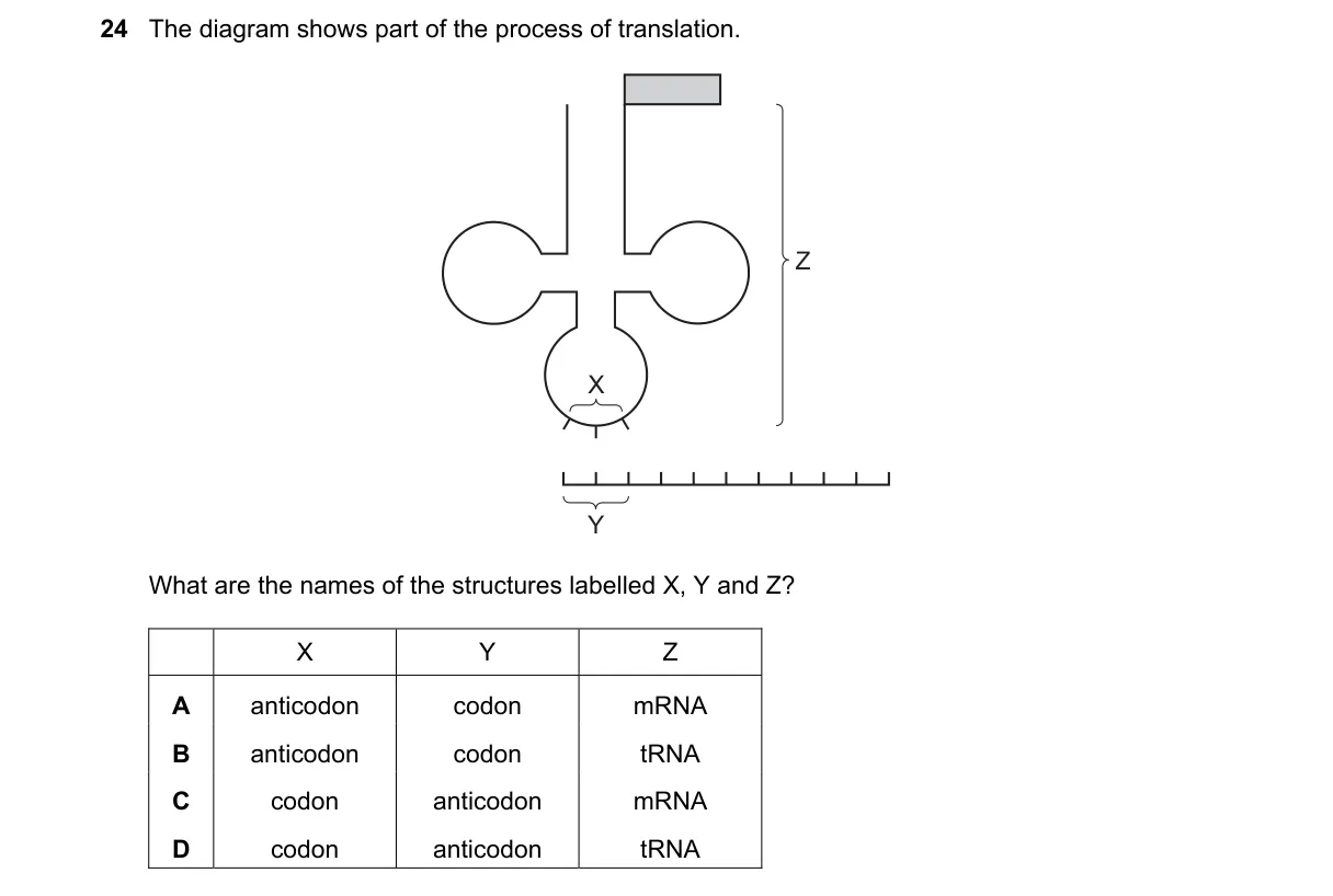 Question 24 from 9700/12/M/J/23