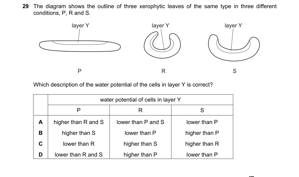 Question 29 from 9700/12/M/J/23