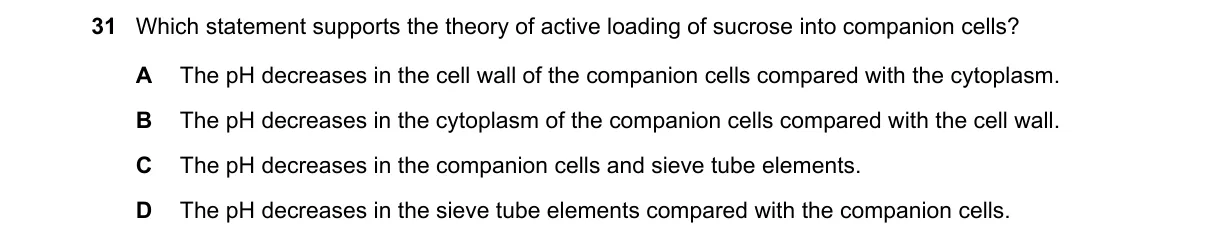 Question 31 from 9700/12/M/J/23