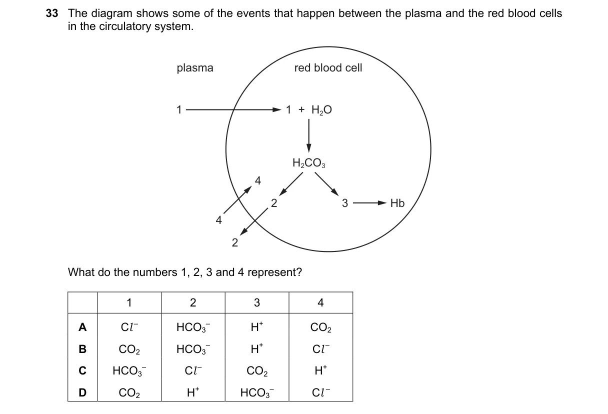 Question 33 from 9700/12/M/J/23