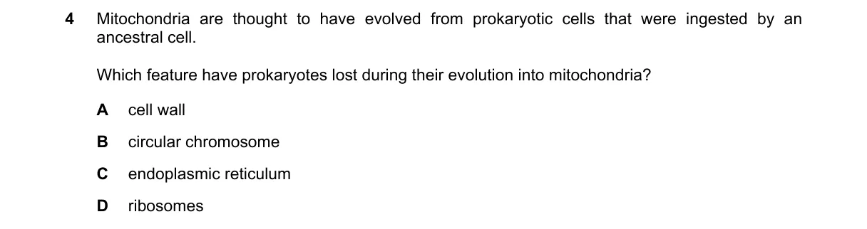 Question 4 from 9700/13/M/J/23