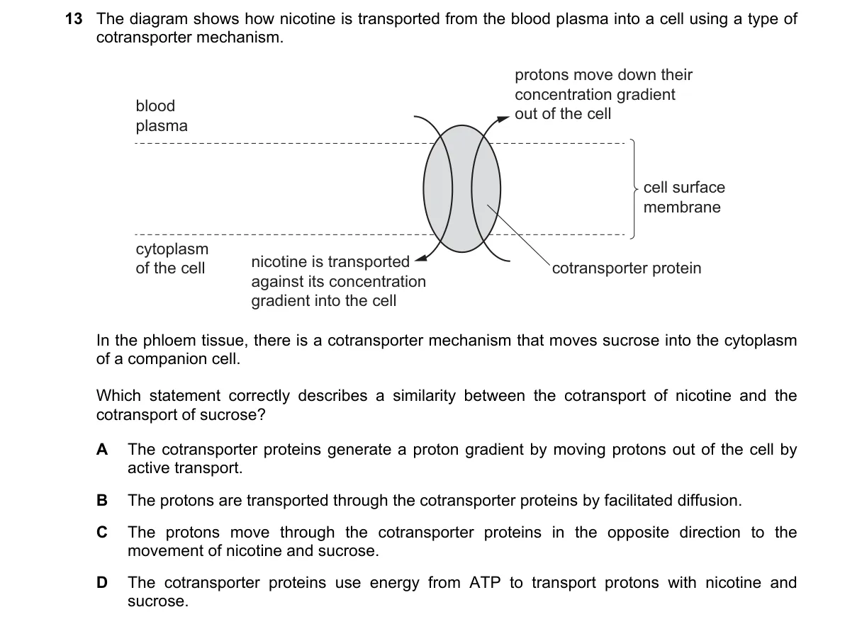 Question 13 from 9700/11/M/J/24