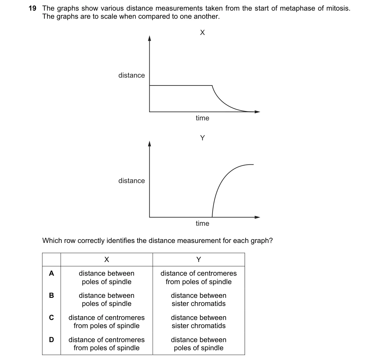 Question 19 from 9700/11/M/J/24