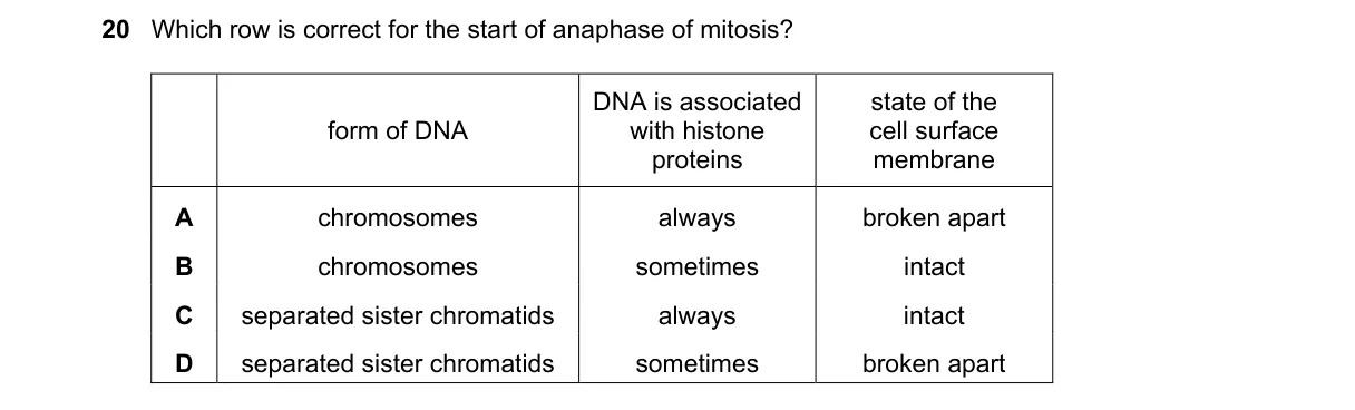 Question 20 from 9700/11/M/J/24