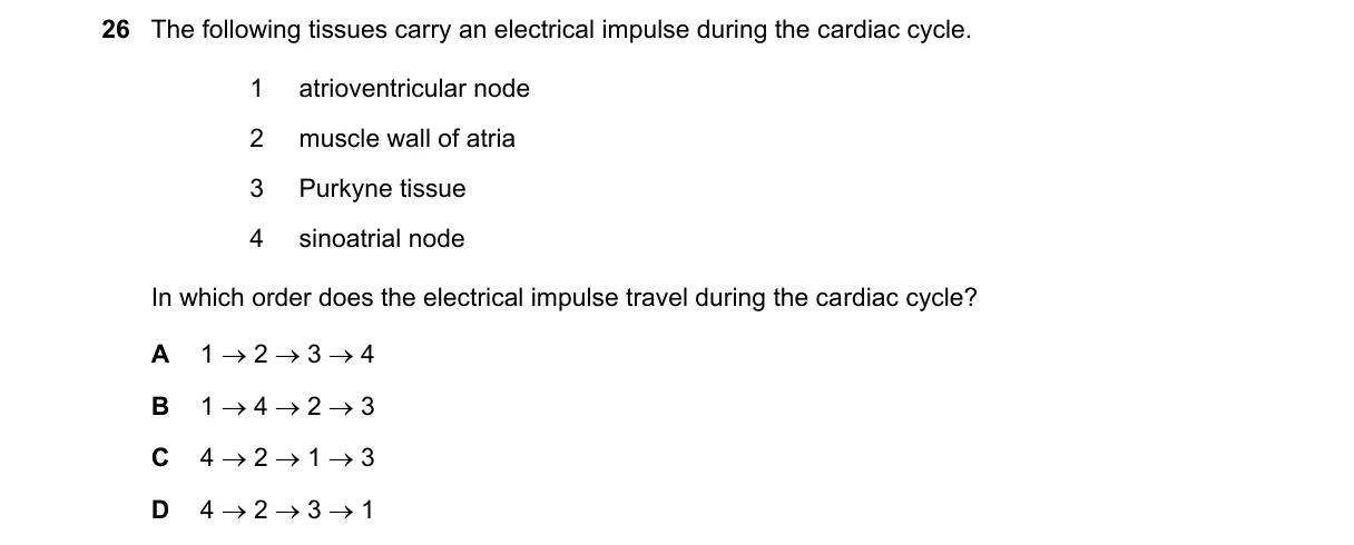 Question 26 from 9700/11/M/J/24