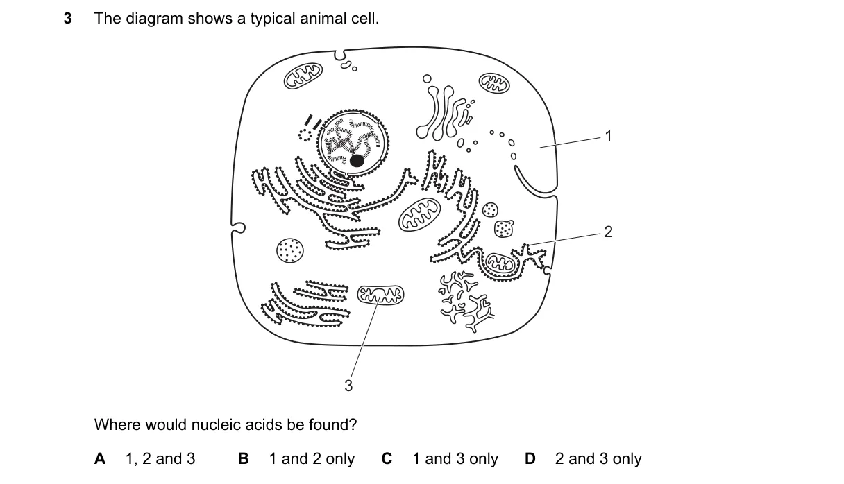 Question 3 from 9700/11/M/J/24