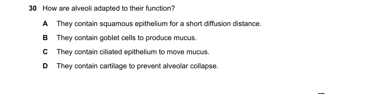 Question 30 from 9700/11/M/J/24