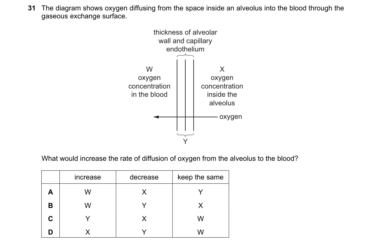 Question 31 from 9700/11/M/J/24