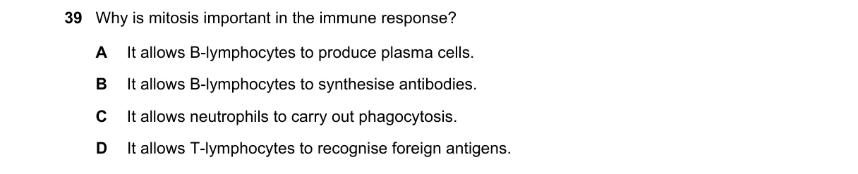 Question 39 from 9700/11/M/J/24
