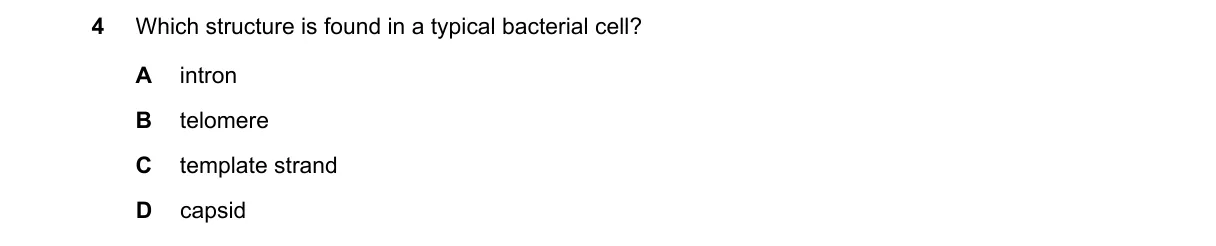 Question 4 from 9700/11/M/J/24