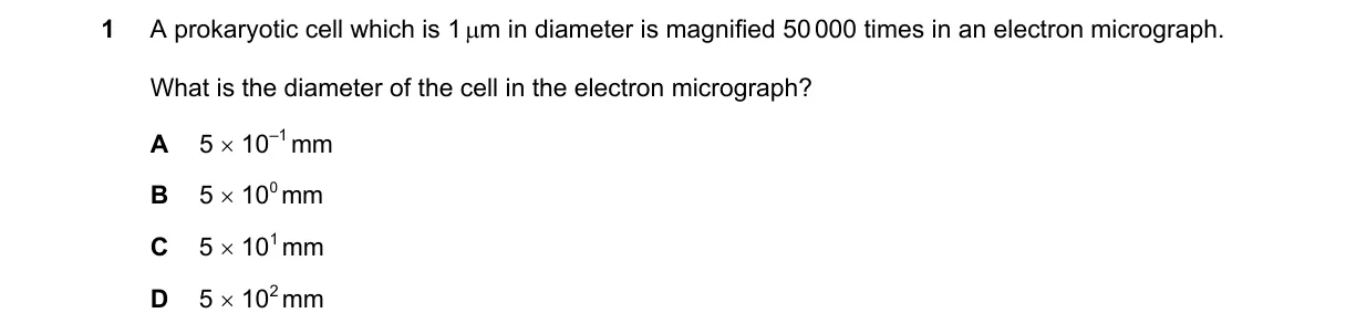 Question 1 from 9700/12/M/J/24