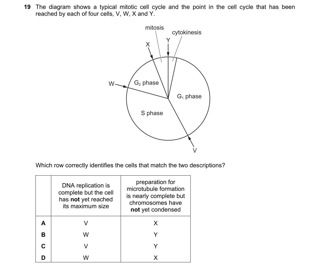 Question 19 from 9700/12/M/J/24