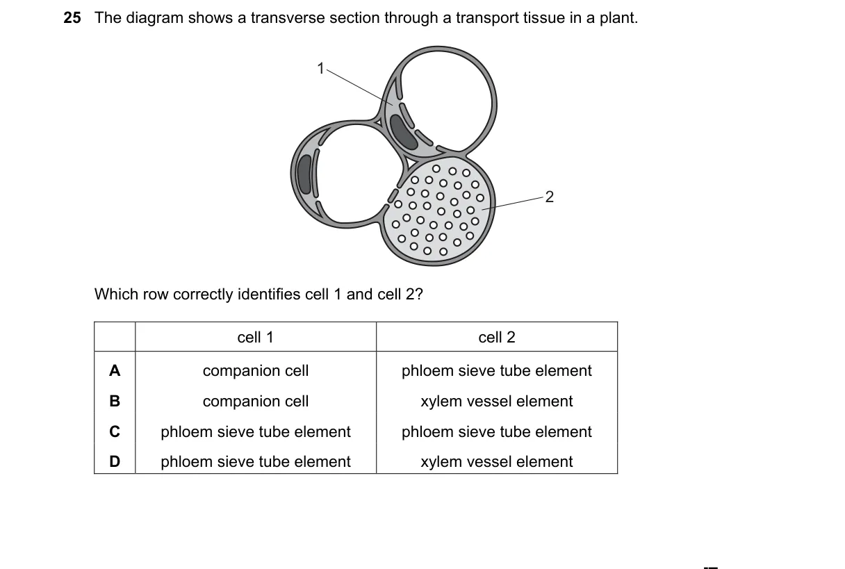 Question 25 from 9700/12/M/J/24