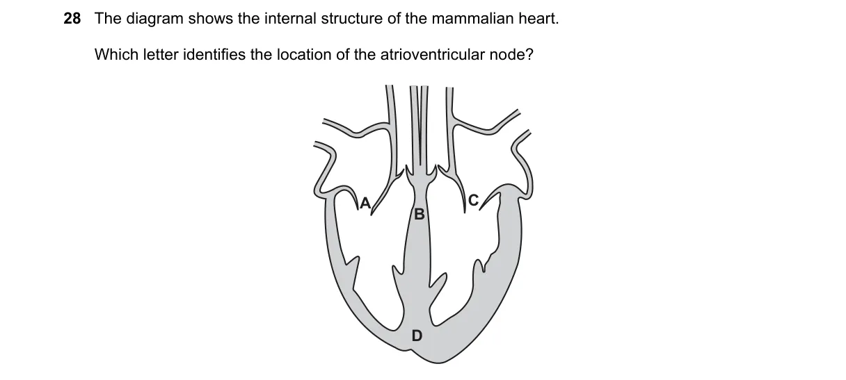 Question 28 from 9700/12/M/J/24