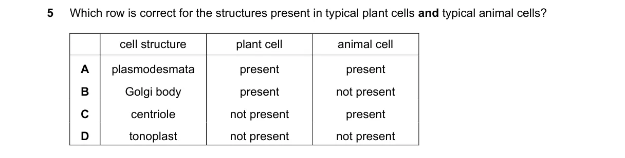 Question 5 from 9700/12/M/J/24
