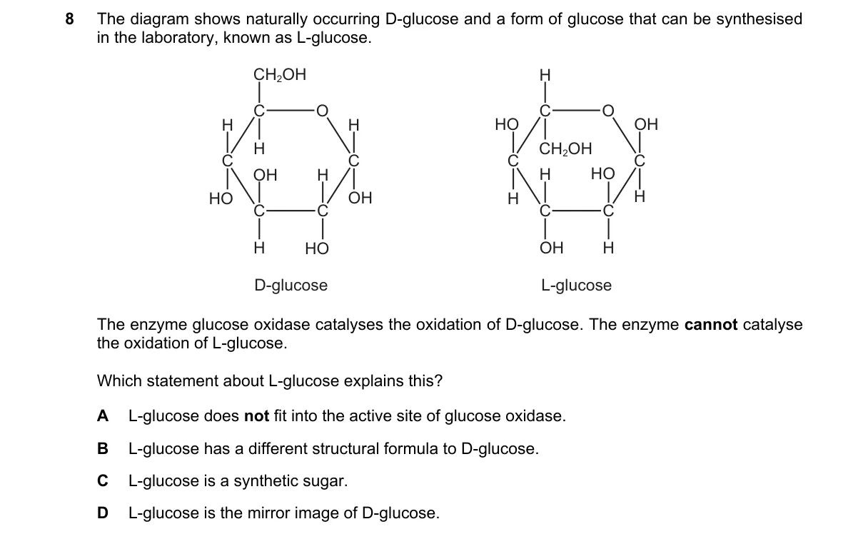 Question 8 from 9700/12/M/J/24
