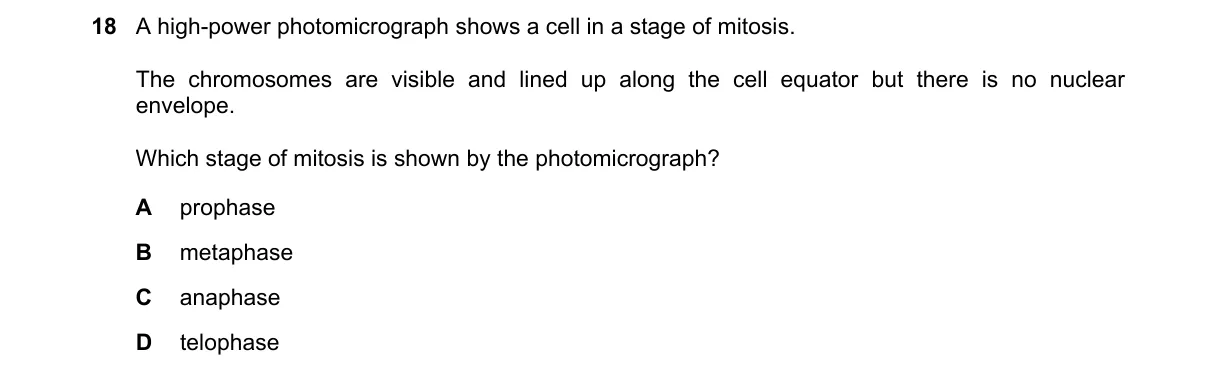 Question 18 from 9700/13/M/J/24