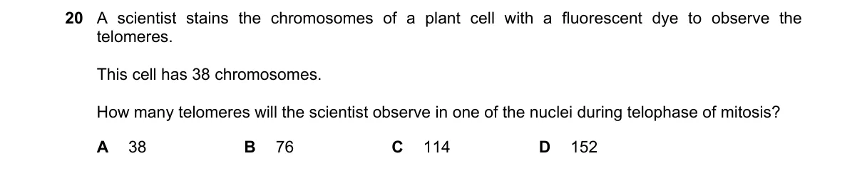 Question 20 from 9700/13/M/J/24
