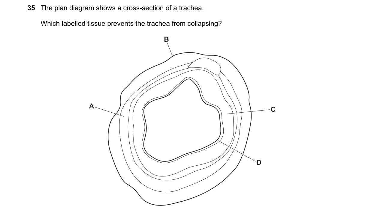 Question 35 from 9700/13/M/J/24