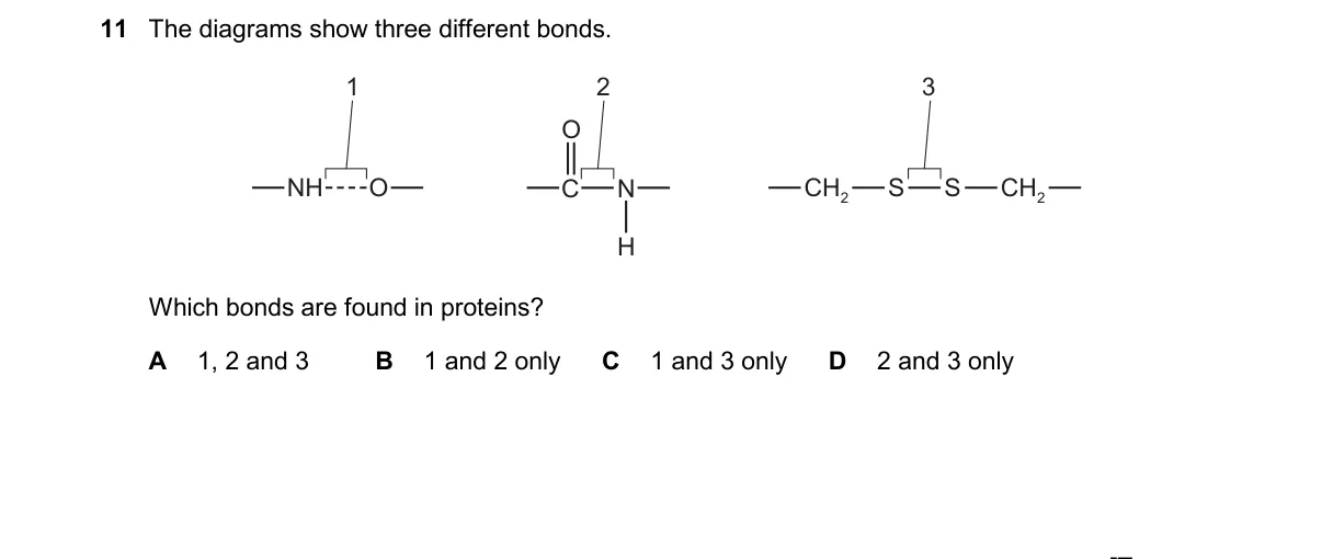 Question 11 from 9700/11/M/J/25