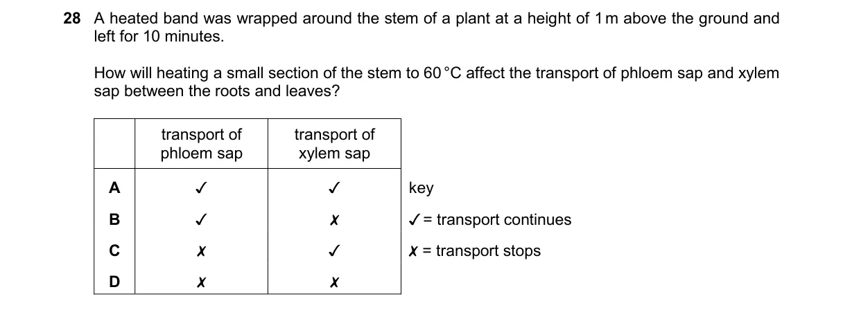 Question 28 from 9700/11/M/J/25