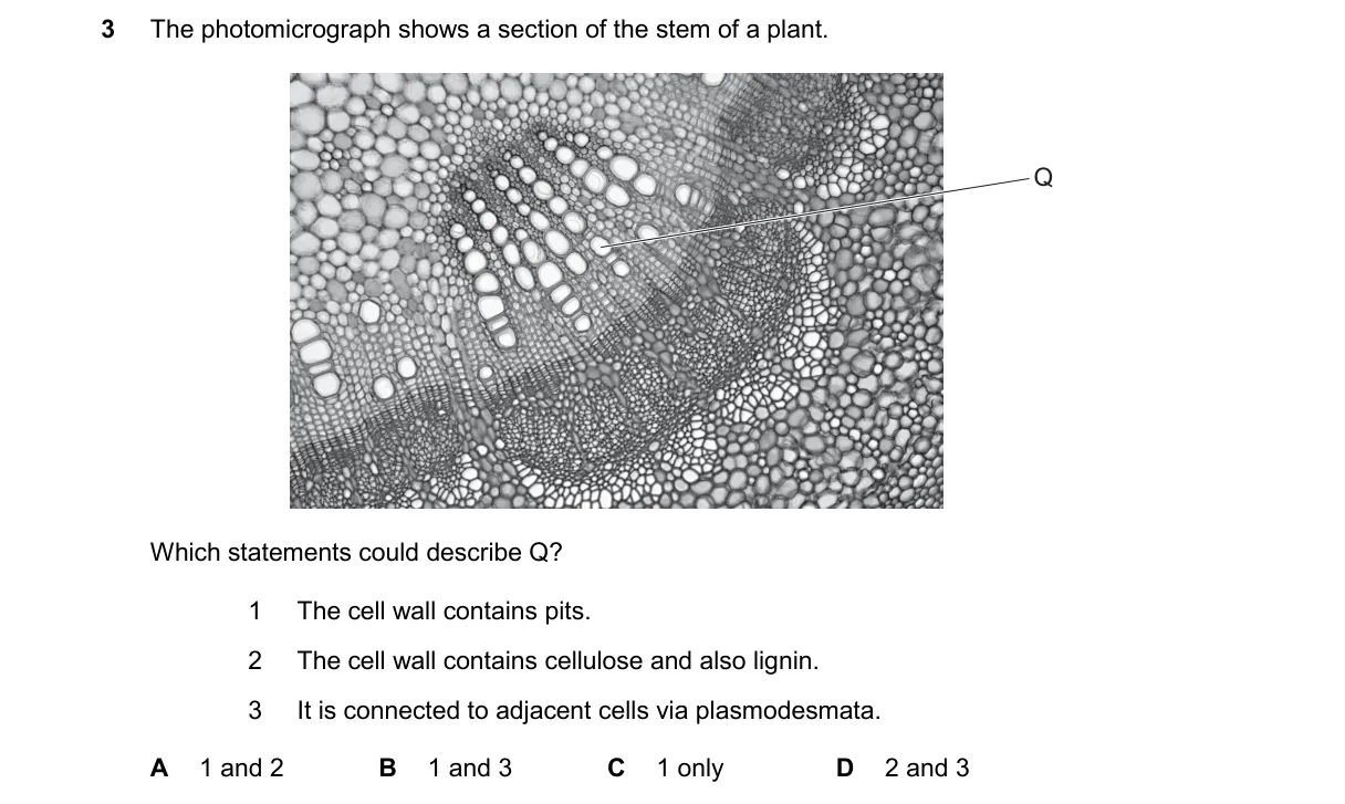 Question 3 from 9700/11/M/J/25